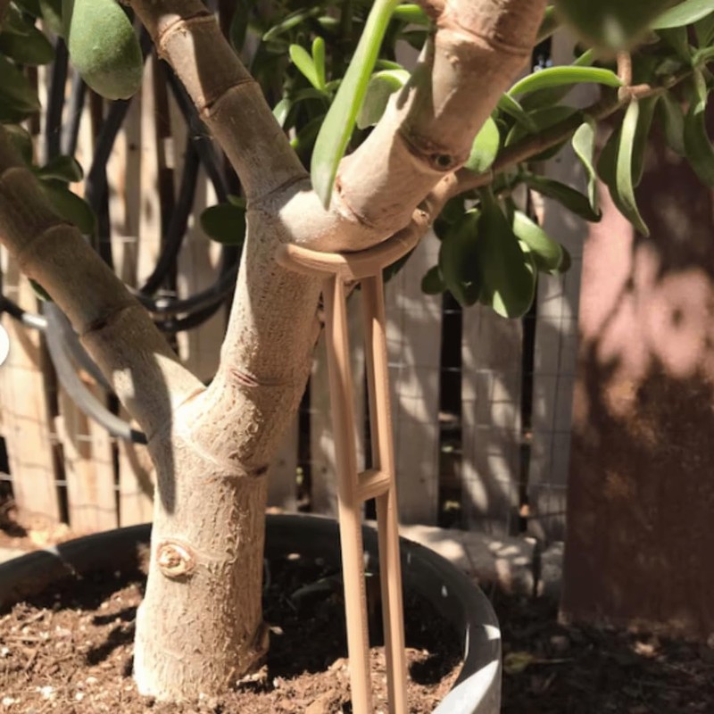 Plant Crutch Support for Drooping Stems or Branches | 4