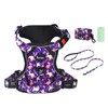 Petmolico No Pull Dog Harness Set, 2 Leash Attchment Easy