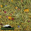 Reptile World Reptile World Tortoise Edible Bedding 300g | Readi