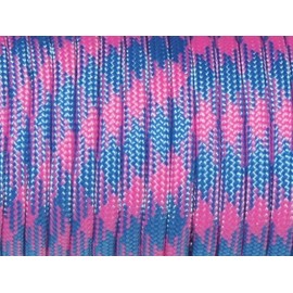 1pcs 100ft 550 Paracord Parachute Cord Lanyard Mil Spec Type III 7 Strand Core Color Peachpuff+Sky Blue(Peachpuff+Sky Blue)