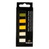 Rembrandt Professional Soft Pastel Set Warm Yellows | 5 Half
