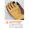 Daytona Motorcycle Gloves, For Winter and Autumn, Genuine Leather (Goat