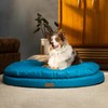 ClevaHome Orthopedic Dog Bed for Large Dogs, Dual Layer Water