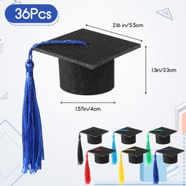 36 Pieces 2025 Mini Graduation Caps with Tassels Graduation Wine Bottle Toppers(Black Cap with Colorful Tassel)