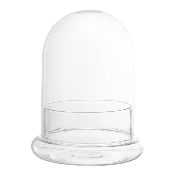 Toddmomy Glass Bell Dome 1pc Glass Cloche Bell Jar Dome