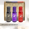 Beverly Hills Polo Club 3 Piece Body Spray Collection: Champion,