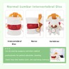 Human Lumbar Disc Herniation Model, 1.5 Times Durable and Lightweight