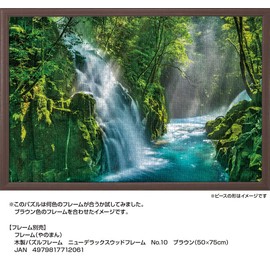 1000 Piece Jigsaw Puzzle Kikuchi Gorge (Kumamoto) (50x75cm)