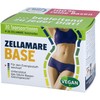 Zellam Are Base and Base Strips Pack of 30 Pack