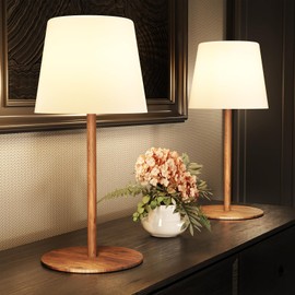 EZVALO 2 Pack Cordless Table Lamp IP 65 Waterproof, Rechargeable Shower Lamp with 4500mAh Battery Operated, 3 Color Temps Dimmable LED Night Light for Living Room, Bathroom, Kitchen, Patio & Camping