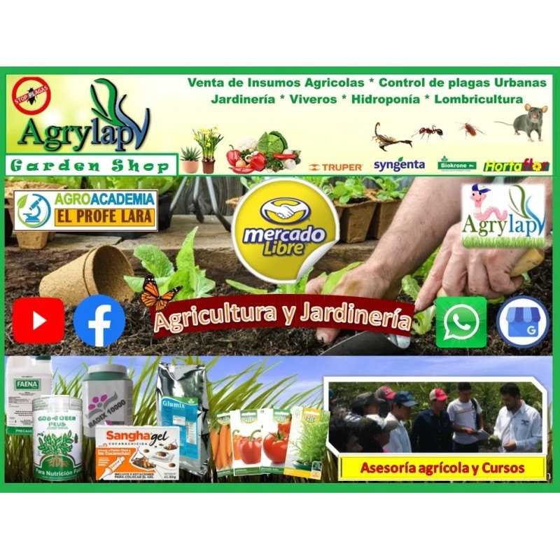 agrylap 3 Kg Acido Bórico Polvo Varios Usos Grado Técnico