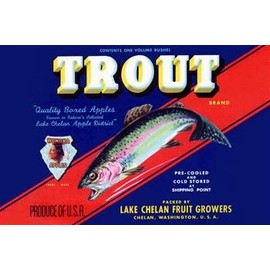 Buyenlarge Trout Brand Apples Print (Unframed Paper Print 20x30)