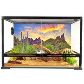 YongFoto Polyester Desert View Cactus Photo Backdrop Green Bush Rocky Purple Rock Wild West Natural Landscape Photography Background 72x16 inches Reptile Habitat Tank Background Poster Decor