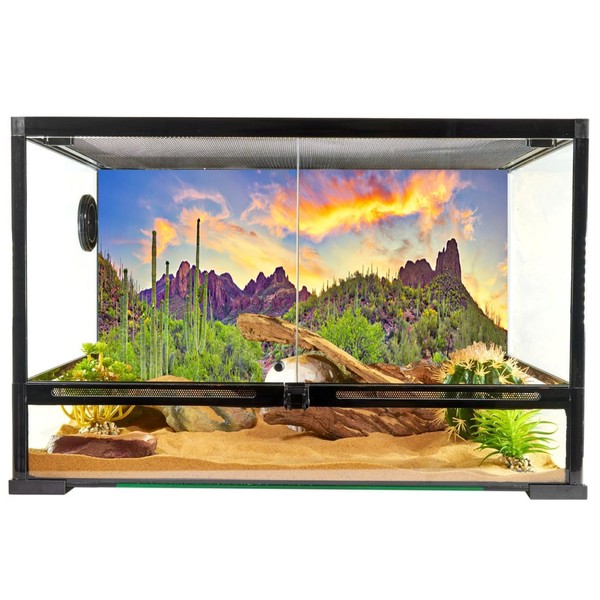 YongFoto Polyester Desert View Cactus Photo Backdrop Green Bush Rocky