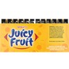 Juicy Fruit Sugar-Free Gum, The Original, 12 Count Mixies (Juicy