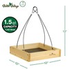 Wild Wings WWCF23 Rot Resistant Cedar Hanging Tray Bird Feeder