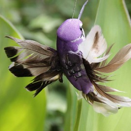 HOSTK 2pcs Solar or Battery Powered Fluttering Hummingbird, Wobble Fluttering Bird for Garden Yard Stake Plants Flowers Patio Landscape Outside Decor