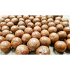 Macadamia Nuts - In shell (whole) (2 LB)