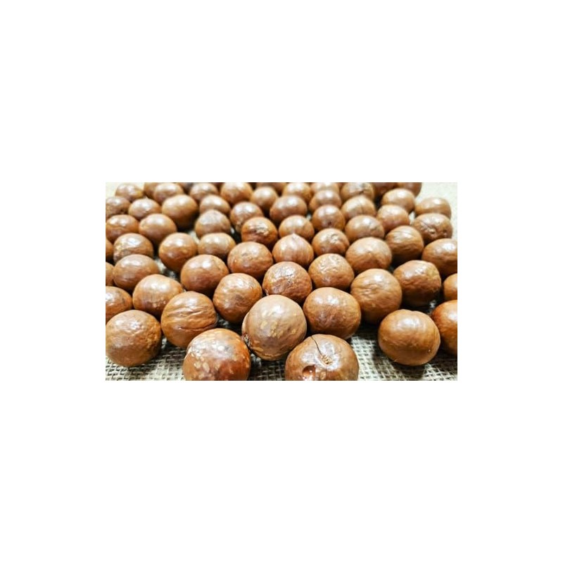 Macadamia Nuts - In shell (whole) (2 LB)