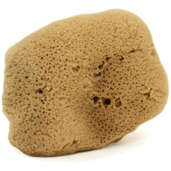Cose della Natura Washed Fine Silk Sponge, Large, 12-14 g