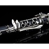 GLORY Glory GLY-CLADBL Professional Ebonite Bb Clarinet with 10 Reeds,