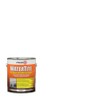Zinsser 5061 WaterTite Flexible Primer & Finish, Gallon, Flat White
