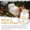 Organic Lions Mane Supplement 1500mg - 180 Vegan Capsules -
