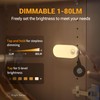 Lyridz Rechargeable Night Light with Motion Sensor, 1500mAh Battery Operated