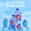 Softsoap Softsoap Clean & Protect Antibacterial Liquid Hand Soap, Cool