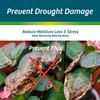 Wilt-Pruf® 1 Gallon Rechargeable Sprayer Kit | Easy to Use