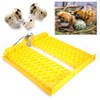 132pcs Eggs Automatic Egg Turner Turning Tray for Automatic Egg
