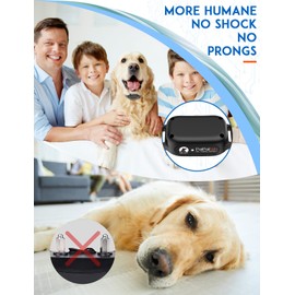 PaiPaitek Vibrating Dog Collar No Shock, 3300ft Range Dog Beep Collar with Remote, IPX7 Waterproof Rechargeable No Shock Training Collar for 5-120 lbs All Breeds - No Prongs