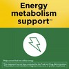 Nature Made Vitamin B1, 100mg Dietary Supplement - 2 Pack