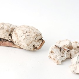 Donguihanjae 동의한재 심제거한 국산 복신 백복신 300g Domestic White Boksin with Dehydrated Appetizing Ingredients 300g