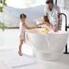 TECHMILLY Super Soft Shaggy Bathroom Rugs, Absorbent Thick Non Slip