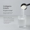 Entera | Colágeno Hidrolizado 300 g en Polvo | Péptidos
