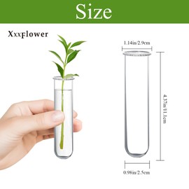 XXXFLOWER Glass Propagation Stations Accessories Glass Test Tubes Tiers Planters Wall Terrarium for Home Office Plant Hanger Flower Vases Wall Decor Hydroponic Cuttings (4 Tube Vases) Clear