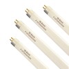 Flyercatch (4 Pack) 16’’ F10T5/830 Fluorescent Bulb Replacement for Jasco