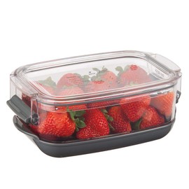 Progressive Berry ProKeeper, 1.2-Quart, Strawberries, Blueberry, Fruit Vegetable Container,Black