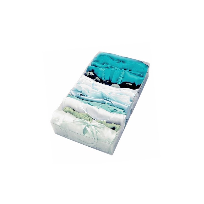 Neatnix R32ENEA - Organizador de cajones Extensible, Transparente, 16 x