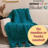 Bernat Alize Blanket Sweet and Sour Yarn - 2 Pack