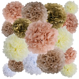 BestoFun 16 PCS Champagne Party Decorations Tissue Paper Flowers Pom Poms Decorations for Girl Groovy Birthday Baby Shower Wedding Bachelorette Room Wall Hanging Décor