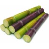 Fresh Sugar Cane Sugarcane Saccharum Officinarum (5lb)