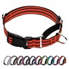 JOYEEIIOO Martingale Dog Collar, Adjustable Nylon Reflective Collar with Quick