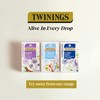 Twinings Superblends Unwind Tea - Strawberry Herbal Tea Infusion with