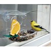 Audubon Mixed Treat Window Bird Feeders, Pack of 4