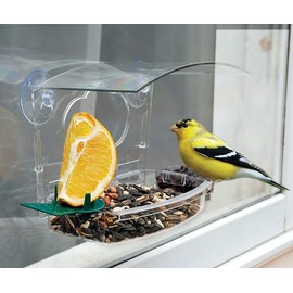 Audubon Mixed Treat Window Bird Feeders, Pack of 4