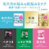 Suisai Beauty Clear Green Powder Wash (Trial)