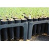 Stuewe & Sons – Deepot 20 Cavity Tray with D40L
