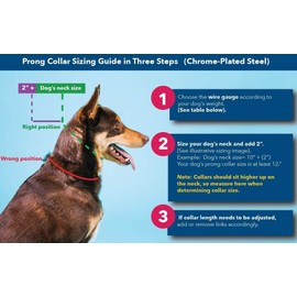 Herm Sprenger Prong Collar for Dog Training with Easy Quick Release Buckle - German Made Dog Collar with Chrome Plated Steel 3.0mm Prongs for Large - Extra Large Dogs (20-25" Neck)
